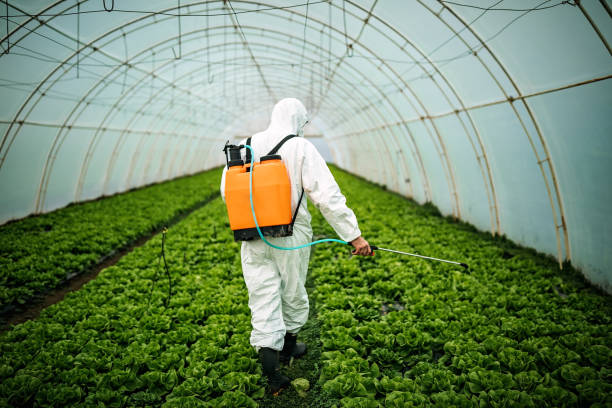 Best Pest Inspection Near Me  in New Hope, AL