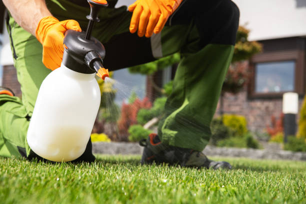 Best Pest Removal Services  in New Hope, AL