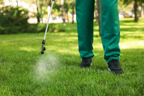 Best Residential Pest Control  in New Hope, AL