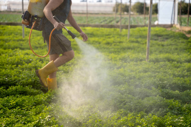 Professional Pest Control in New Hope, AL