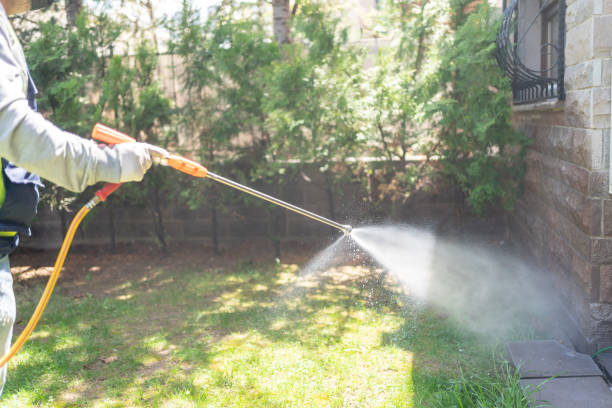 Best Insect Control  in New Hope, AL