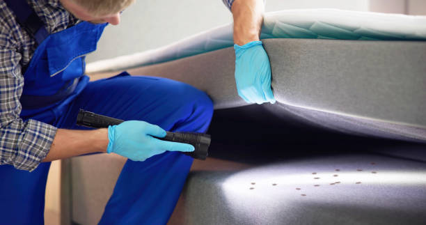 Best Best Pest Control Near Me  in New Hope, AL