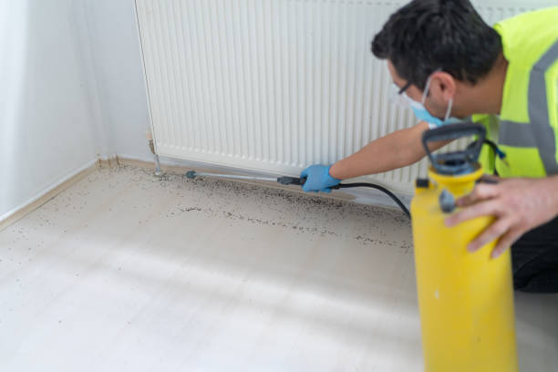 Best Pest Control Near Me in New Hope, AL