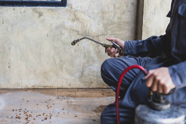 Best Pest Prevention Services  in New Hope, AL